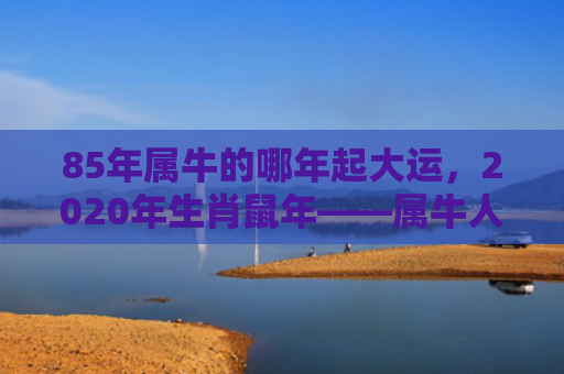 85年属牛的哪年起大运，2020年生肖鼠年——属牛人的事业大展宏图
