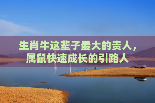 生肖牛这辈子最大的贵人，属鼠快速成长的引路人