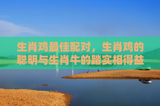 生肖鸡最佳配对，生肖鸡的聪明与生肖牛的踏实相得益彰