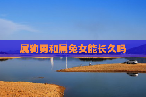 属狗男和属兔女能长久吗