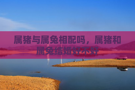 属猪与属兔相配吗，属猪和属兔结婚好不好
