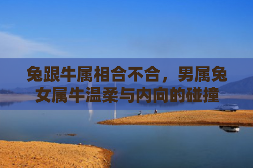 兔跟牛属相合不合，男属兔女属牛温柔与内向的碰撞