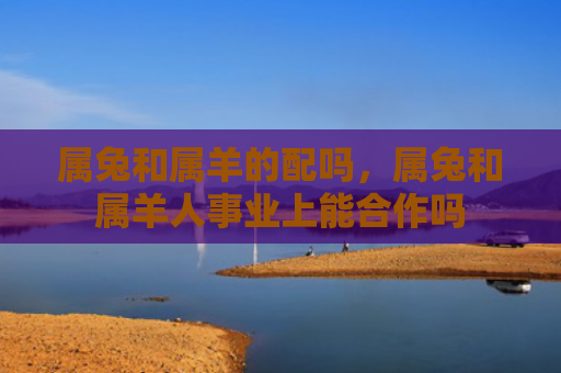 属兔和属羊的配吗，属兔和属羊人事业上能合作吗