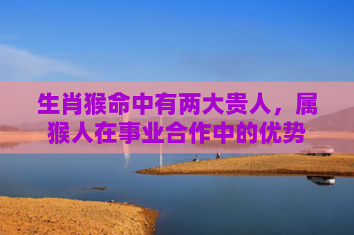 生肖猴命中有两大贵人，属猴人在事业合作中的优势