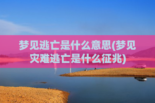 梦见逃亡是什么意思(梦见灾难逃亡是什么征兆)