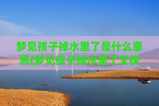 梦见孩子掉水里了是什么意思(梦见孩子掉水里了又捞起来了)