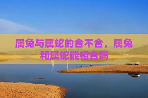 属兔与属蛇的合不合，属兔和属蛇能相合吗