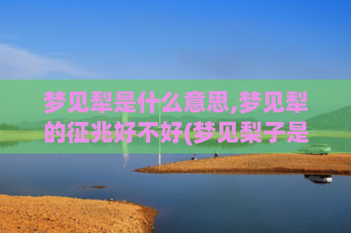 梦见犁是什么意思,梦见犁的征兆好不好(梦见梨子是什么意思)