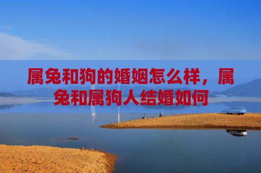 属兔和狗的婚姻怎么样，属兔和属狗人结婚如何