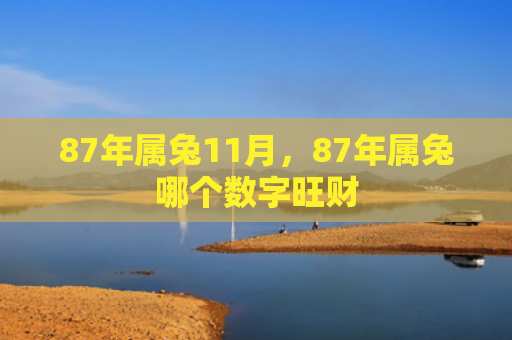 87年属兔11月，87年属兔哪个数字旺财