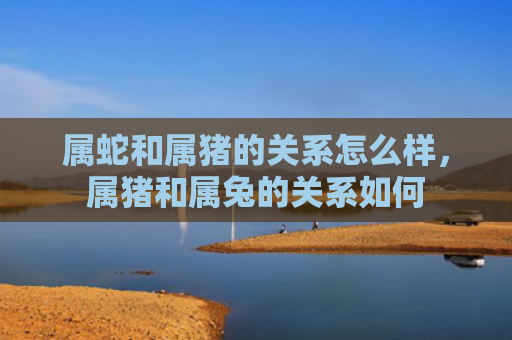 属蛇和属猪的关系怎么样，属猪和属兔的关系如何