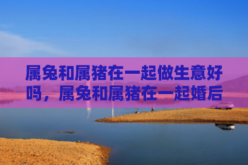 属兔和属猪在一起做生意好吗，属兔和属猪在一起婚后生活如何