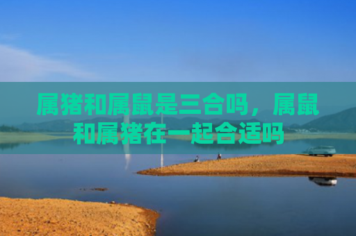 属猪和属鼠是三合吗，属鼠和属猪在一起合适吗
