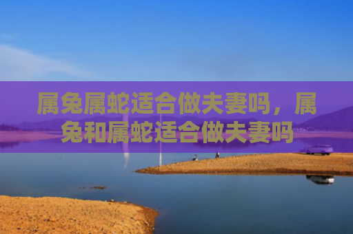 属兔属蛇适合做夫妻吗，属兔和属蛇适合做夫妻吗