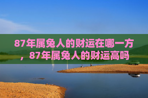 87年属兔人的财运在哪一方，87年属兔人的财运高吗