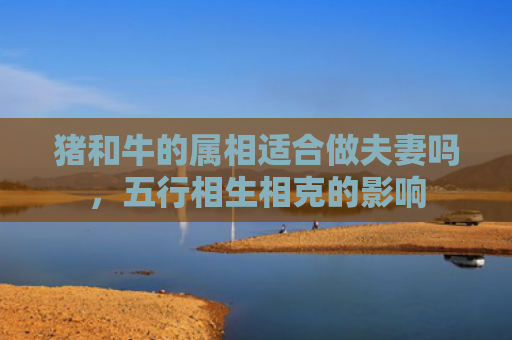 猪和牛的属相适合做夫妻吗，五行相生相克的影响