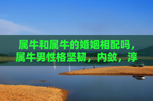 属牛和属牛的婚姻相配吗，属牛男性格坚韧，内敛，淳厚