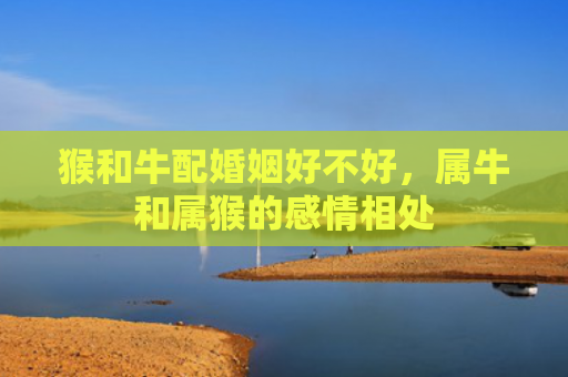 猴和牛配婚姻好不好，属牛和属猴的感情相处