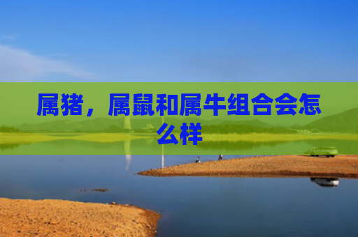 属猪，属鼠和属牛组合会怎么样