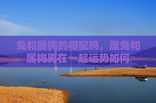 兔和属狗的相配吗，属兔和属狗男在一起运势如何