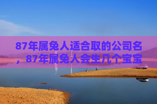 87年属兔人适合取的公司名，87年属兔人会生几个宝宝