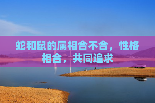 蛇和鼠的属相合不合，性格相合，共同追求
