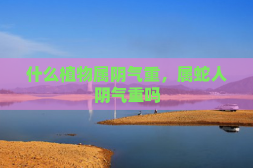 什么植物属阴气重，属蛇人阴气重吗