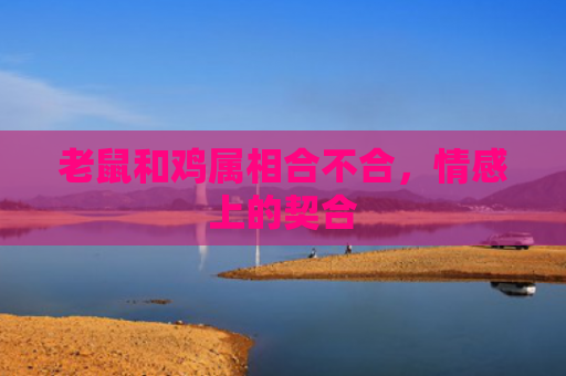 老鼠和鸡属相合不合，情感上的契合