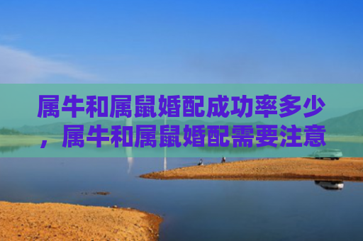 属牛和属鼠婚配成功率多少，属牛和属鼠婚配需要注意什么