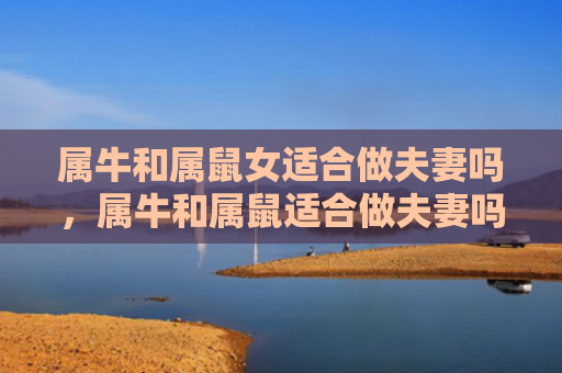 属牛和属鼠女适合做夫妻吗，属牛和属鼠适合做夫妻吗