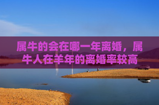属牛的会在哪一年离婚，属牛人在羊年的离婚率较高