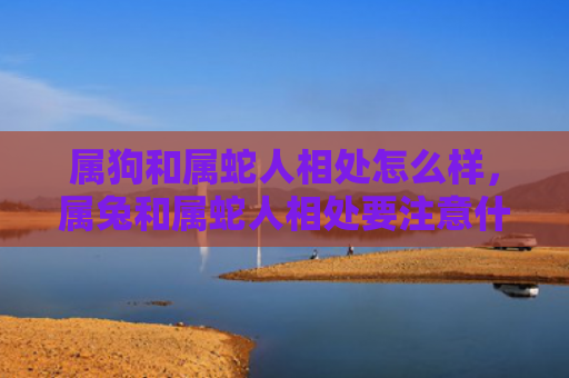属狗和属蛇人相处怎么样，属兔和属蛇人相处要注意什么