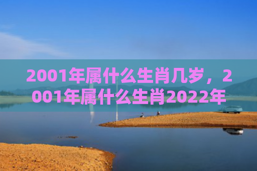 2001年属什么生肖几岁，2001年属什么生肖2022年多少岁