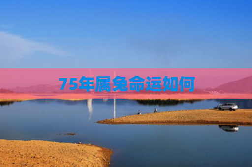 75年属兔命运如何