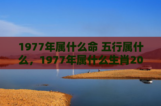 1977年属什么命 五行属什么，1977年属什么生肖2022年多少岁