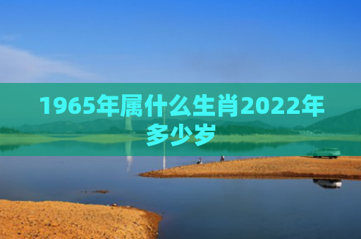 1965年属什么生肖2022年多少岁