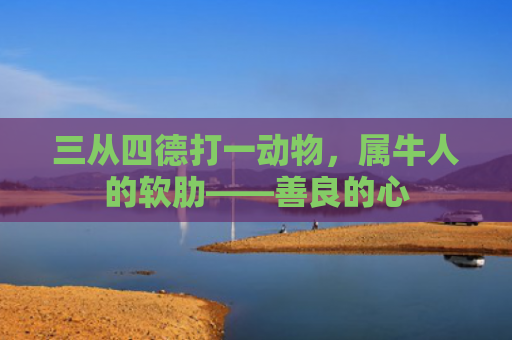 三从四德打一动物，属牛人的软肋——善良的心