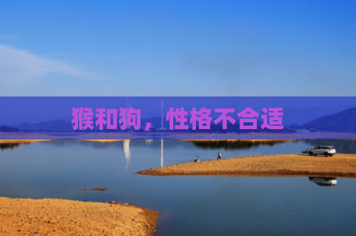 猴和狗，性格不合适