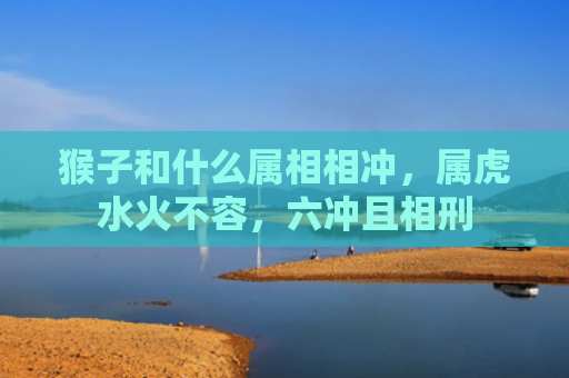 猴子和什么属相相冲，属虎水火不容，六冲且相刑