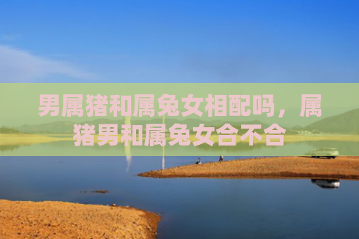 男属猪和属兔女相配吗，属猪男和属兔女合不合