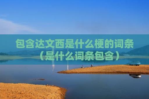 包含达文西是什么梗的词条（是什么词条包含）