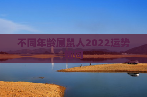 不同年龄属鼠人2022运势如何
