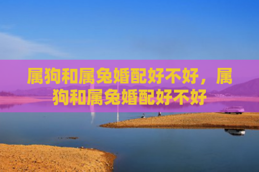 属狗和属兔婚配好不好，属狗和属兔婚配好不好