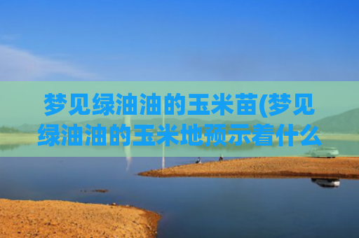 梦见绿油油的玉米苗(梦见绿油油的玉米地预示着什么)