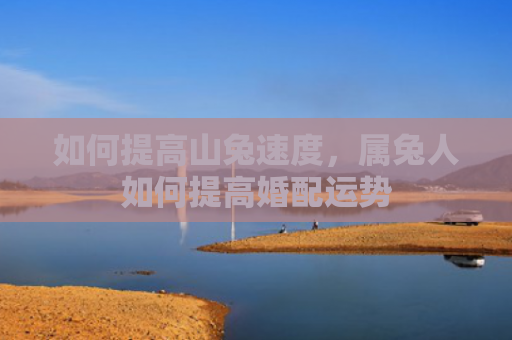 如何提高山兔速度，属兔人如何提高婚配运势