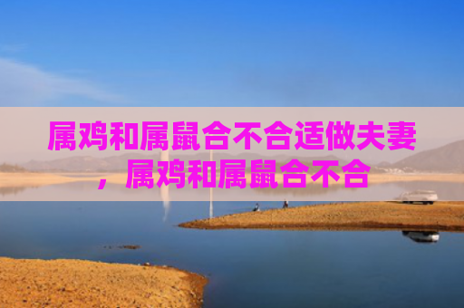 属鸡和属鼠合不合适做夫妻，属鸡和属鼠合不合