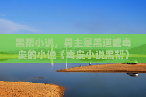 黑帮小说，男主是黑道或毒枭的小说（毒枭小说黑帮）