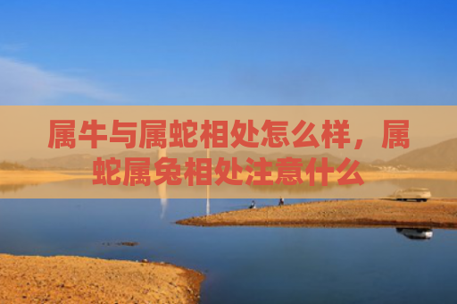 属牛与属蛇相处怎么样，属蛇属兔相处注意什么
