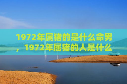 1972年属猪的是什么命男，1972年属猪的人是什么命
