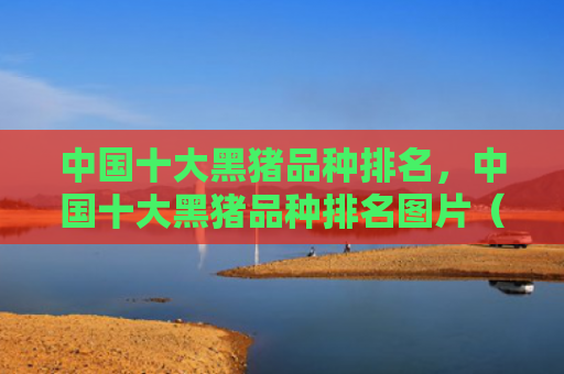 中国十大黑猪品种排名，中国十大黑猪品种排名图片（黑猪中国十大品种）